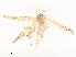  ( - CBG-A54435-H04)  @11 [ ] CreativeCommons - Attribution Share - Alike (2024) CBG Photography Group Centre for Biodiversity Genomics