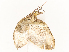 ( - CBG-A54435-H07)  @11 [ ] CreativeCommons - Attribution Share - Alike (2024) CBG Photography Group Centre for Biodiversity Genomics