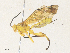  ( - CBG-A36864-D03)  @11 [ ] CreativeCommons - Attribution Share - Alike (2024) CBG Photography Group Centre for Biodiversity Genomics