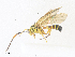  ( - CBG-A36864-D10)  @11 [ ] CreativeCommons - Attribution Share - Alike (2024) CBG Photography Group Centre for Biodiversity Genomics