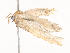  ( - CBG-A36879-D08)  @11 [ ] CreativeCommons - Attribution Share - Alike (2024) CBG Photography Group Centre for Biodiversity Genomics