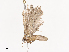  ( - CBG-A36879-H04)  @11 [ ] CreativeCommons - Attribution Share - Alike (2024) CBG Photography Group Centre for Biodiversity Genomics