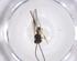  (opiMalaise01 Malaise5595 - CBG-A37360-G06)  @11 [ ] CreativeCommons - Attribution Share - Alike (2024) Centre for Biodiversity Genomics Centre for Biodiversity Genomics