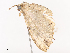  ( - CBG-A38531-D06)  @11 [ ] CreativeCommons - Attribution Share - Alike (2024) CBG Photography Group Centre for Biodiversity Genomics