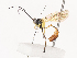  ( - CBG-A38532-H07)  @11 [ ] CreativeCommons - Attribution Share - Alike (2024) CBG Photography Group Centre for Biodiversity Genomics