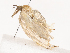  ( - CBG-A38532-H09)  @11 [ ] CreativeCommons - Attribution Share - Alike (2024) CBG Photography Group Centre for Biodiversity Genomics