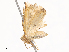  ( - CBG-A38533-D10)  @11 [ ] CreativeCommons - Attribution Share - Alike (2024) CBG Photography Group Centre for Biodiversity Genomics