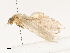  ( - CBG-A38534-B02)  @11 [ ] CreativeCommons - Attribution Share - Alike (2024) CBG Photography Group Centre for Biodiversity Genomics