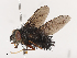  ( - CBG-A38534-H04)  @11 [ ] CreativeCommons - Attribution Share - Alike (2024) CBG Photography Group Centre for Biodiversity Genomics