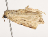  ( - CBG-A38535-D01)  @11 [ ] CreativeCommons - Attribution Share - Alike (2024) CBG Photography Group Centre for Biodiversity Genomics
