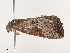  ( - CBG-A38536-A09)  @11 [ ] CreativeCommons - Attribution Share - Alike (2024) CBG Photography Group Centre for Biodiversity Genomics