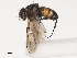  ( - CBG-A38536-E12)  @11 [ ] CreativeCommons - Attribution Share - Alike (2024) CBG Photography Group Centre for Biodiversity Genomics