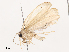  ( - CBG-A38536-F06)  @11 [ ] CreativeCommons - Attribution Share - Alike (2024) CBG Photography Group Centre for Biodiversity Genomics
