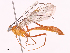  ( - CBG-A38550-E06)  @11 [ ] CreativeCommons - Attribution Share - Alike (2024) CBG Photography Group Centre for Biodiversity Genomics