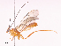  ( - CBG-A38550-E08)  @11 [ ] CreativeCommons - Attribution Share - Alike (2024) CBG Photography Group Centre for Biodiversity Genomics