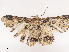  ( - CBG-A38551-E05)  @11 [ ] CreativeCommons - Attribution Share - Alike (2024) CBG Photography Group Centre for Biodiversity Genomics