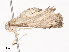  (spiloMalaise01 Malaise0194 - CBG-A38551-G07)  @11 [ ] CreativeCommons - Attribution Share - Alike (2024) CBG Photography Group Centre for Biodiversity Genomics
