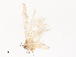  ( - CBG-A38551-H01)  @11 [ ] CreativeCommons - Attribution Share - Alike (2024) CBG Photography Group Centre for Biodiversity Genomics