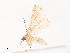  ( - CBG-A38551-H03)  @11 [ ] CreativeCommons - Attribution Share - Alike (2024) CBG Photography Group Centre for Biodiversity Genomics
