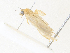  ( - CBG-A38554-E09)  @11 [ ] CreativeCommons - Attribution Share - Alike (2024) CBG Photography Group Centre for Biodiversity Genomics