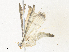  ( - CBG-A38555-D07)  @11 [ ] CreativeCommons - Attribution Share - Alike (2024) CBG Photography Group Centre for Biodiversity Genomics
