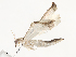  ( - CBG-A38557-A03)  @11 [ ] CreativeCommons - Attribution Share - Alike (2024) CBG Photography Group Centre for Biodiversity Genomics