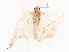  ( - CBG-A38557-C07)  @11 [ ] CreativeCommons - Attribution Share - Alike (2024) CBG Photography Group Centre for Biodiversity Genomics