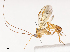  ( - CBG-A38559-A09)  @11 [ ] CreativeCommons - Attribution Share - Alike (2024) CBG Photography Group Centre for Biodiversity Genomics