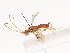  ( - CBG-A40169-B07)  @11 [ ] CreativeCommons - Attribution Share - Alike (2024) CBG Photography Group Centre for Biodiversity Genomics