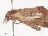  ( - CBG-A40169-D04)  @11 [ ] CreativeCommons - Attribution Share - Alike (2024) CBG Photography Group Centre for Biodiversity Genomics