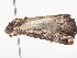  ( - CBG-A40169-D06)  @11 [ ] CreativeCommons - Attribution Share - Alike (2024) CBG Photography Group Centre for Biodiversity Genomics