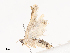  ( - CBG-A40169-F12)  @11 [ ] CreativeCommons - Attribution Share - Alike (2024) CBG Photography Group Centre for Biodiversity Genomics