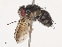  ( - CBG-A40171-F03)  @11 [ ] CreativeCommons - Attribution Share - Alike (2024) CBG Photography Group Centre for Biodiversity Genomics