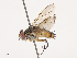  ( - CBG-A40171-F04)  @11 [ ] CreativeCommons - Attribution Share - Alike (2024) CBG Photography Group Centre for Biodiversity Genomics