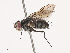  ( - CBG-A40171-G03)  @11 [ ] CreativeCommons - Attribution Share - Alike (2024) CBG Photography Group Centre for Biodiversity Genomics