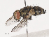  ( - CBG-A40171-G06)  @11 [ ] CreativeCommons - Attribution Share - Alike (2024) CBG Photography Group Centre for Biodiversity Genomics