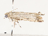  ( - CBG-A40172-D01)  @11 [ ] CreativeCommons - Attribution Share - Alike (2024) CBG Photography Group Centre for Biodiversity Genomics