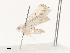  ( - CBG-A40172-D02)  @11 [ ] CreativeCommons - Attribution Share - Alike (2024) CBG Photography Group Centre for Biodiversity Genomics