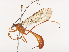  ( - CBG-A40172-F08)  @11 [ ] CreativeCommons - Attribution Share - Alike (2024) CBG Photography Group Centre for Biodiversity Genomics