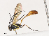  ( - CBG-A40173-A10)  @11 [ ] CreativeCommons - Attribution Share - Alike (2024) CBG Photography Group Centre for Biodiversity Genomics