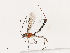  ( - CBG-A41762-A02)  @11 [ ] CreativeCommons - Attribution Share - Alike (2024) CBG Photography Group Centre for Biodiversity Genomics