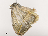  ( - CBG-A41762-E05)  @11 [ ] CreativeCommons - Attribution Share - Alike (2024) CBG Photography Group Centre for Biodiversity Genomics