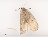  ( - CBG-A41762-E08)  @11 [ ] CreativeCommons - Attribution Share - Alike (2024) CBG Photography Group Centre for Biodiversity Genomics