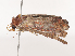  ( - CBG-A41763-B02)  @11 [ ] CreativeCommons - Attribution Share - Alike (2024) CBG Photography Group Centre for Biodiversity Genomics