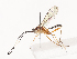  ( - CBG-A41764-E02)  @11 [ ] CreativeCommons - Attribution Share - Alike (2024) CBG Photography Group Centre for Biodiversity Genomics