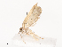  ( - CBG-A41764-H06)  @11 [ ] CreativeCommons - Attribution Share - Alike (2024) CBG Photography Group Centre for Biodiversity Genomics