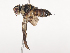  ( - CBG-A41765-A06)  @11 [ ] CreativeCommons - Attribution Share - Alike (2024) CBG Photography Group Centre for Biodiversity Genomics