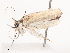  ( - CBG-A41765-C06)  @11 [ ] CreativeCommons - Attribution Share - Alike (2024) CBG Photography Group Centre for Biodiversity Genomics