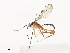  ( - CBG-A41765-D08)  @11 [ ] CreativeCommons - Attribution Share - Alike (2024) CBG Photography Group Centre for Biodiversity Genomics