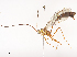  ( - CBG-A41785-A02)  @11 [ ] CreativeCommons - Attribution Share - Alike (2024) CBG Photography Group Centre for Biodiversity Genomics